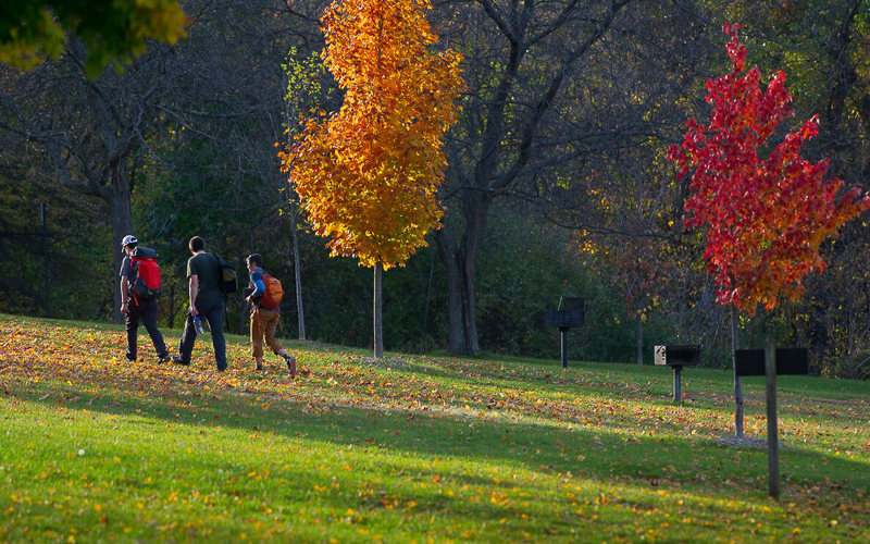 Trails in the Brighton-Howell Area