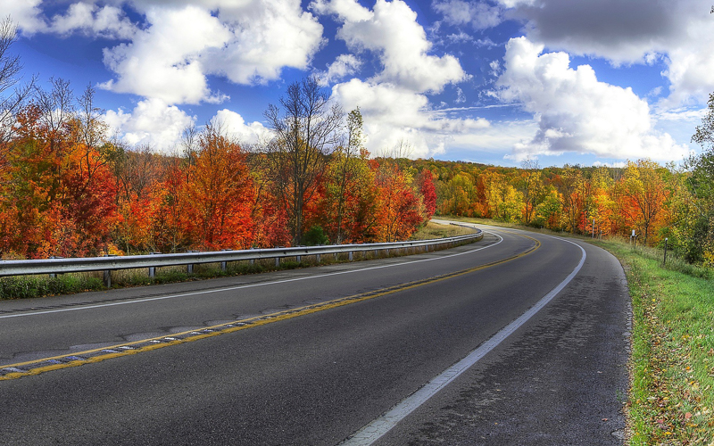 Fall Colors in Manistee