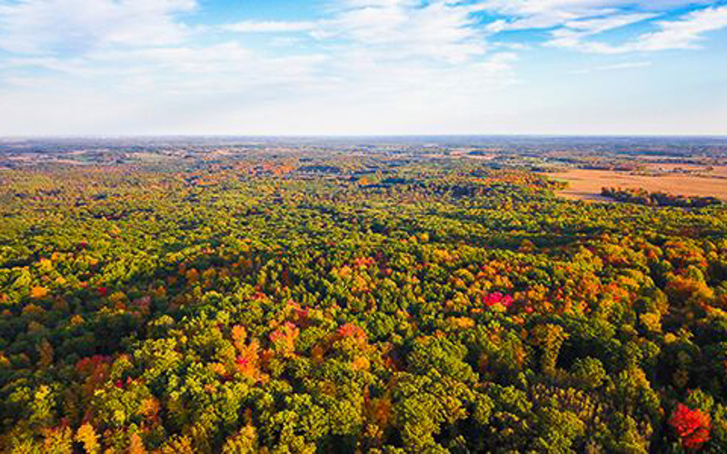 Fall Colors in Mt. Pleasant