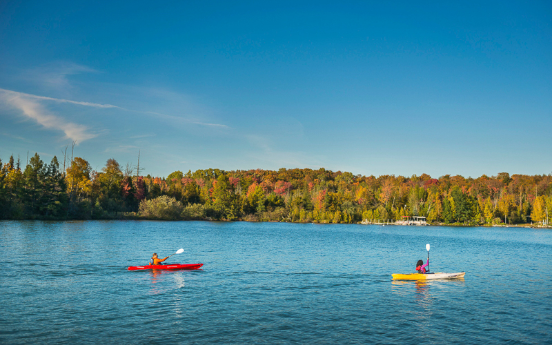 Fall Colors in the Petoskey Area