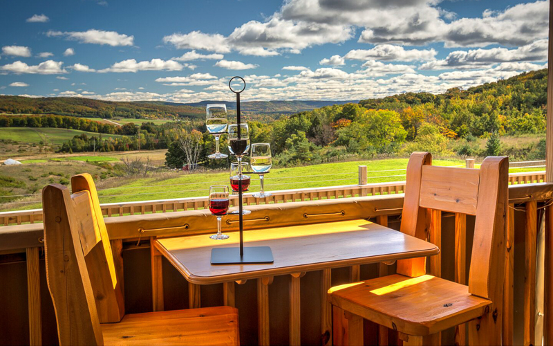 Handcrafted Wine in the Petoskey Area