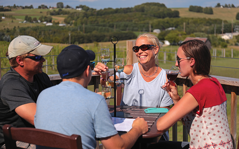 two couples enjoying a glass of wine, some red and some white