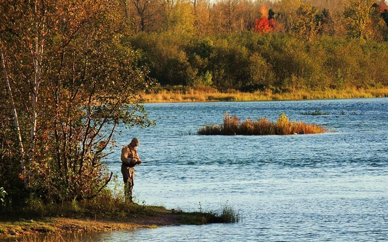 Fishing in Sault Ste. Marie
