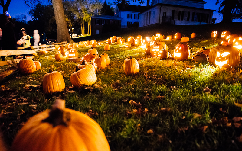 Pumpkin Patch at the Henry Ford Museum