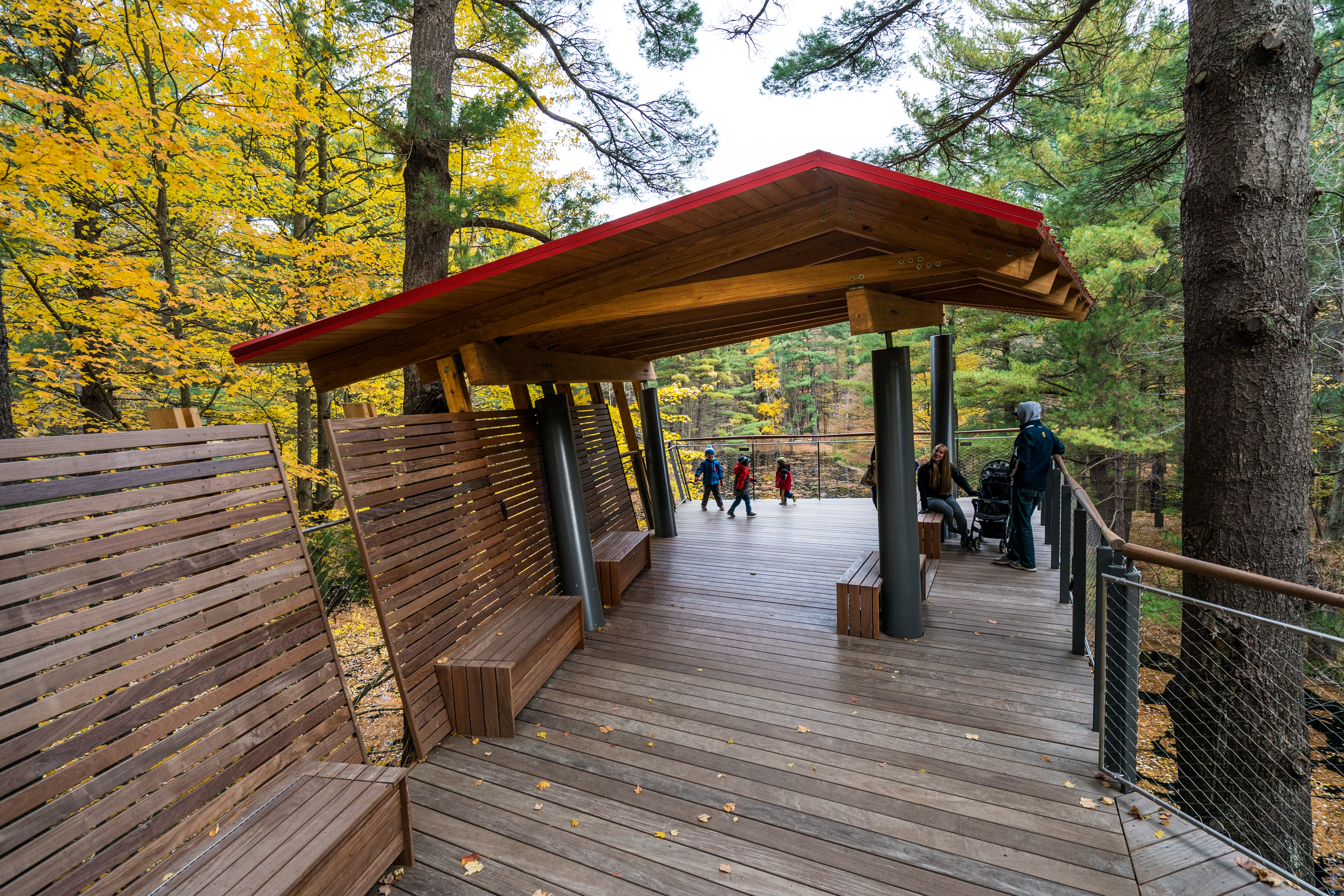 balcony at Dow Gardens Canopy Walk during fall balcony at Dow Gardens Canopy Walk during fall