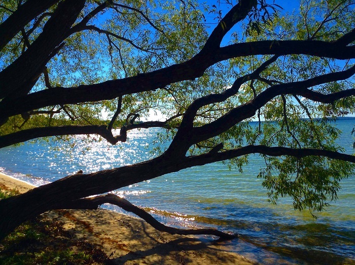 Aloha State Park