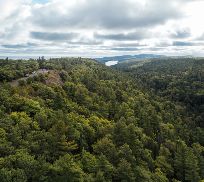 The forest surrounding Brockway Mountain Drive.
