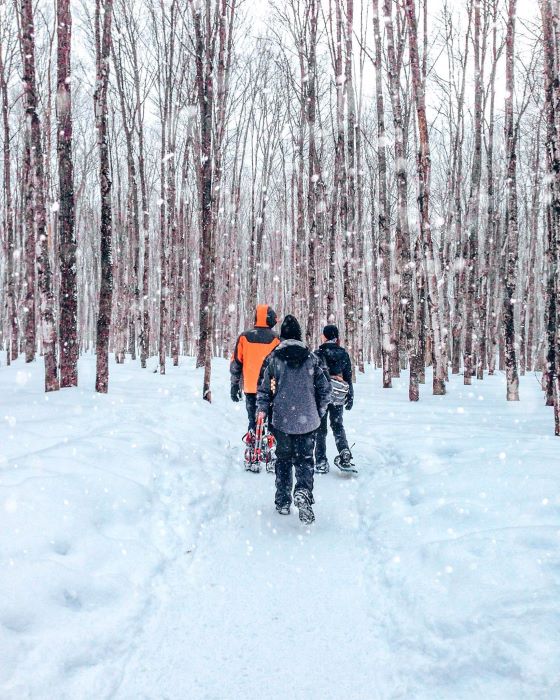 Hikers snowshoeing in snowy Hiawatha National Forest