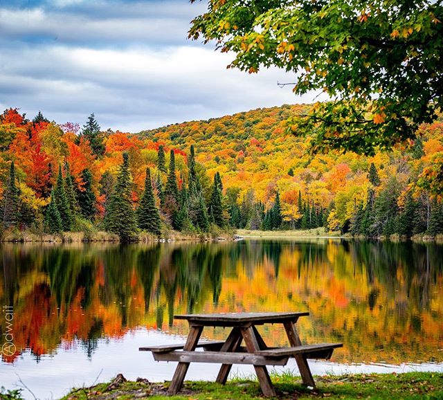 Fall filter Northern Michigan.jpg