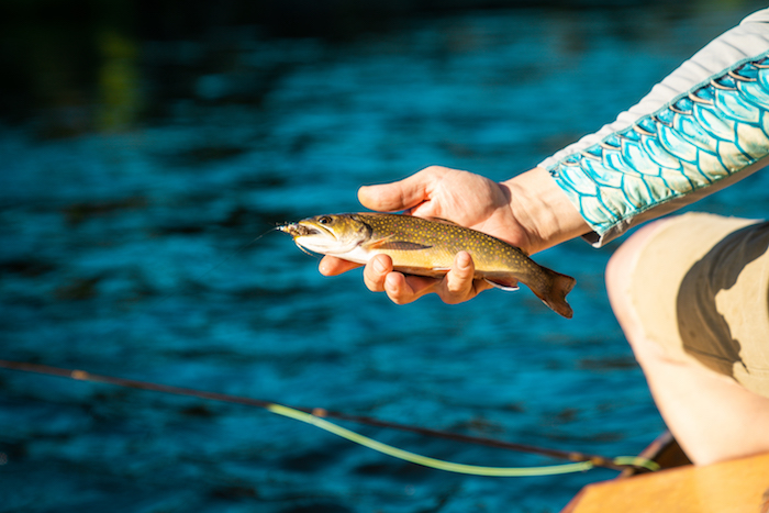 Fly fishing in the Au Sable River in Grayling