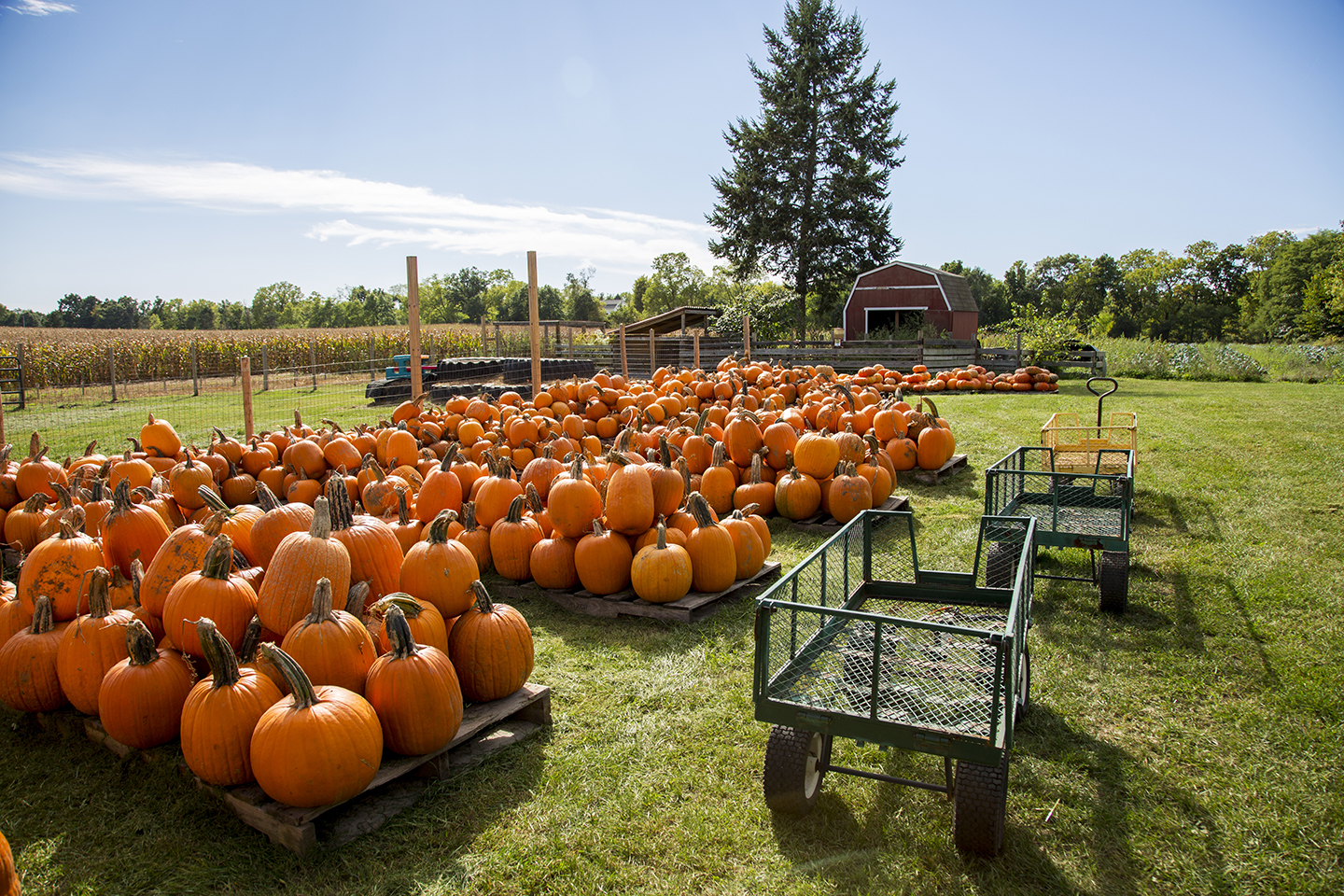 Fusilier Family Farms