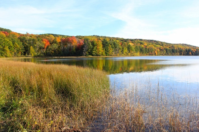 Glen Arbor
