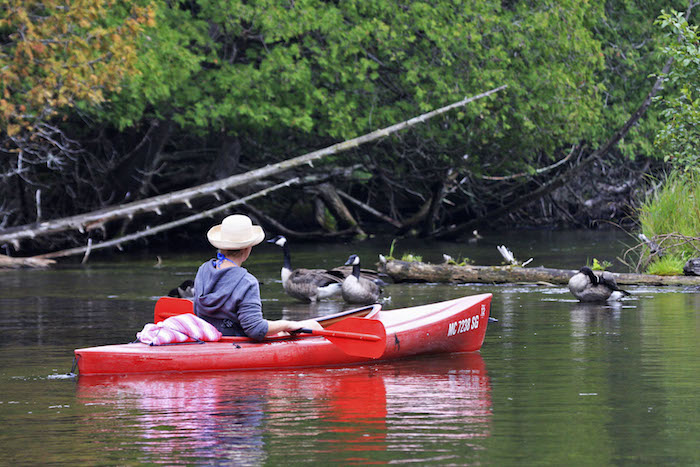 Kayaking on the Au Sable River in Grayling