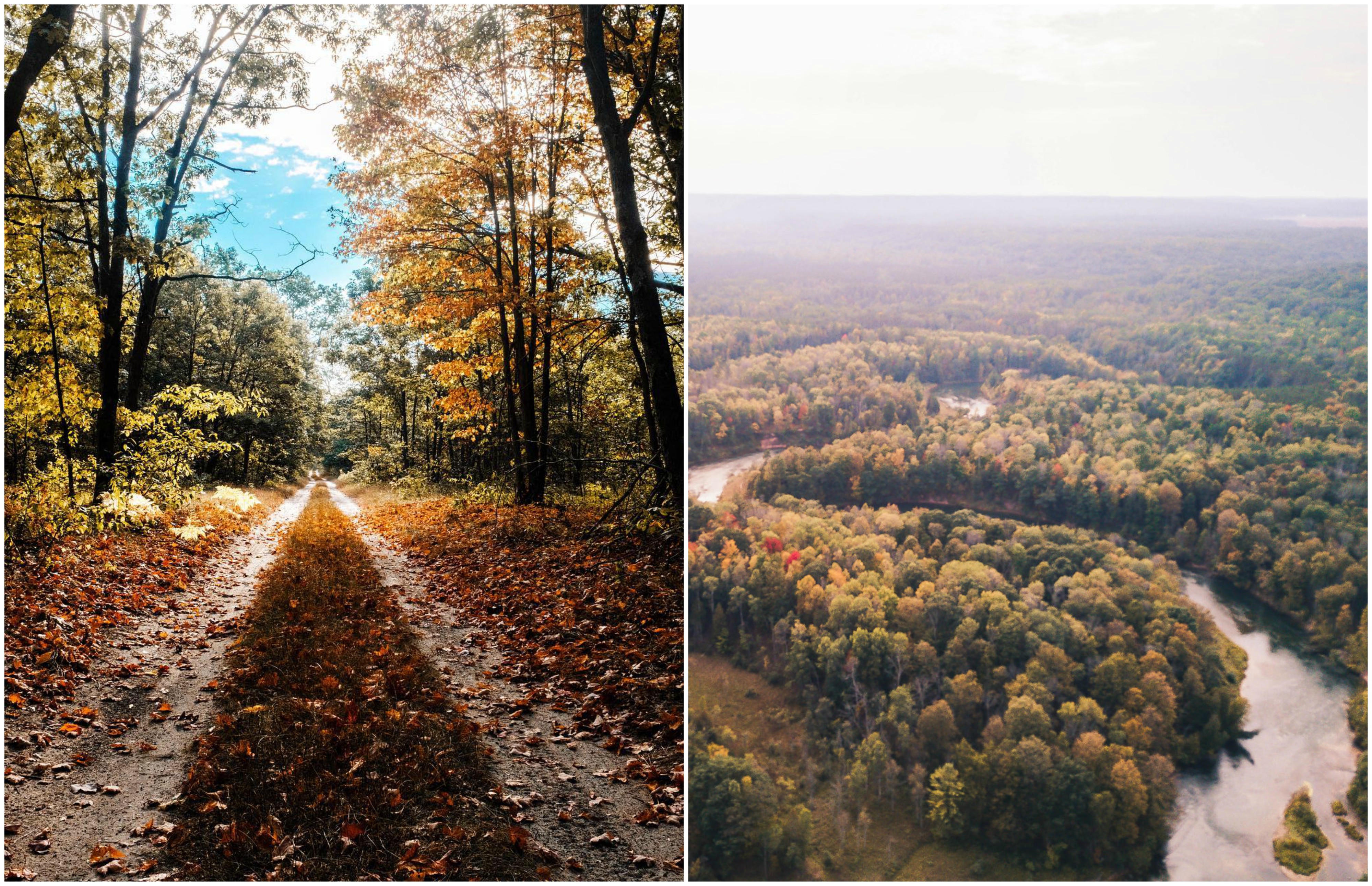 Manistee Forest & Manistee River