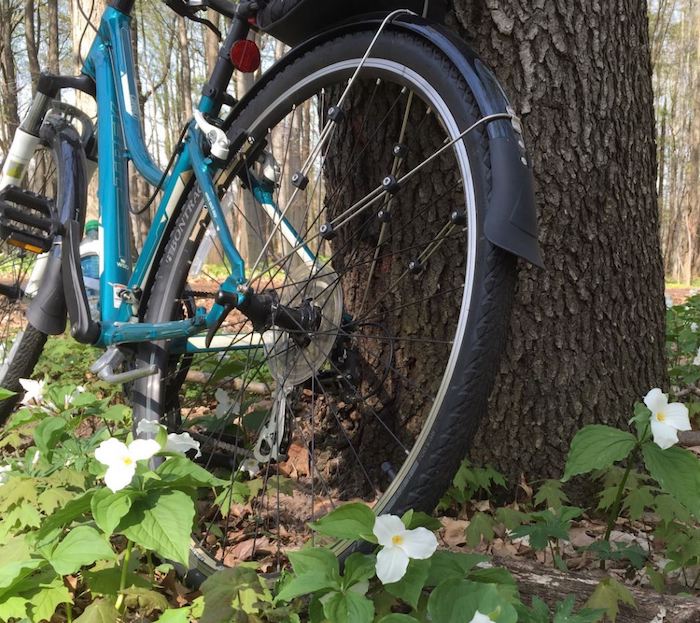 Bike at Meijer Gardens in Grand Rapids