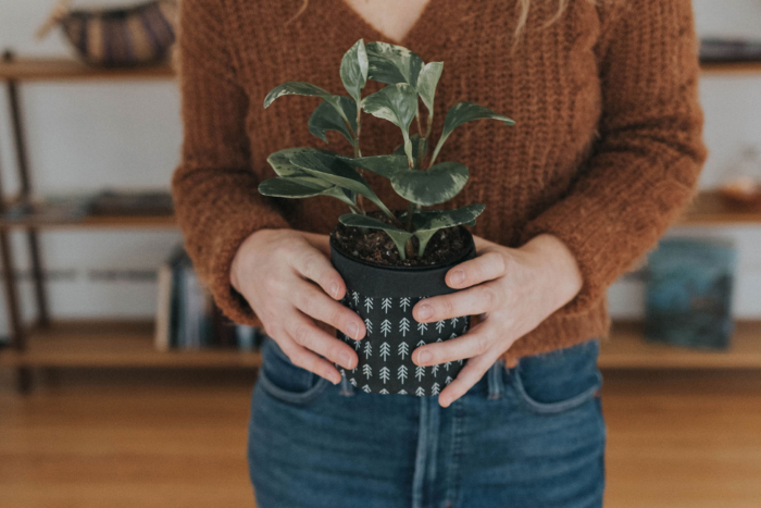 Woman holding a potted plant.