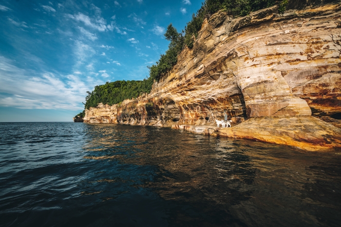 Two wolf dogs and person standing on shore of lake Superior below sandstone cliffs.
