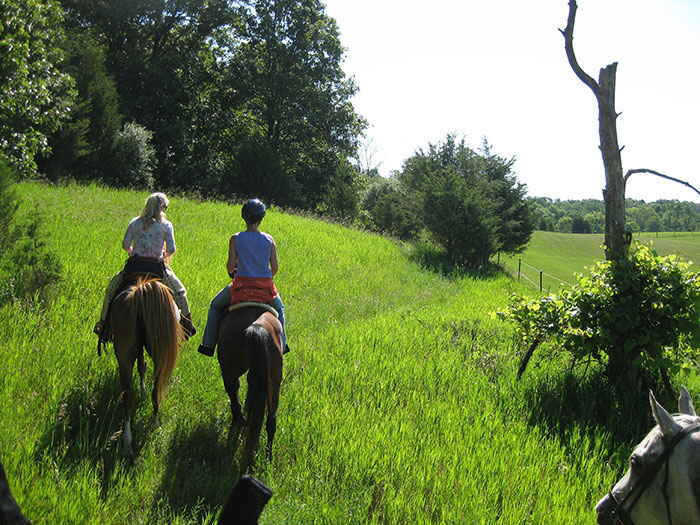 Pinckney Recreation Area
