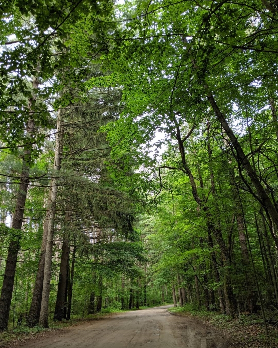 A trail at Proud Lake Recreation Area.