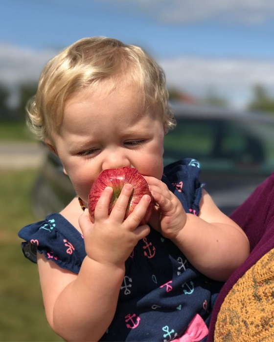 Spicers Orchard Farm Market, Cider Mill, Winery