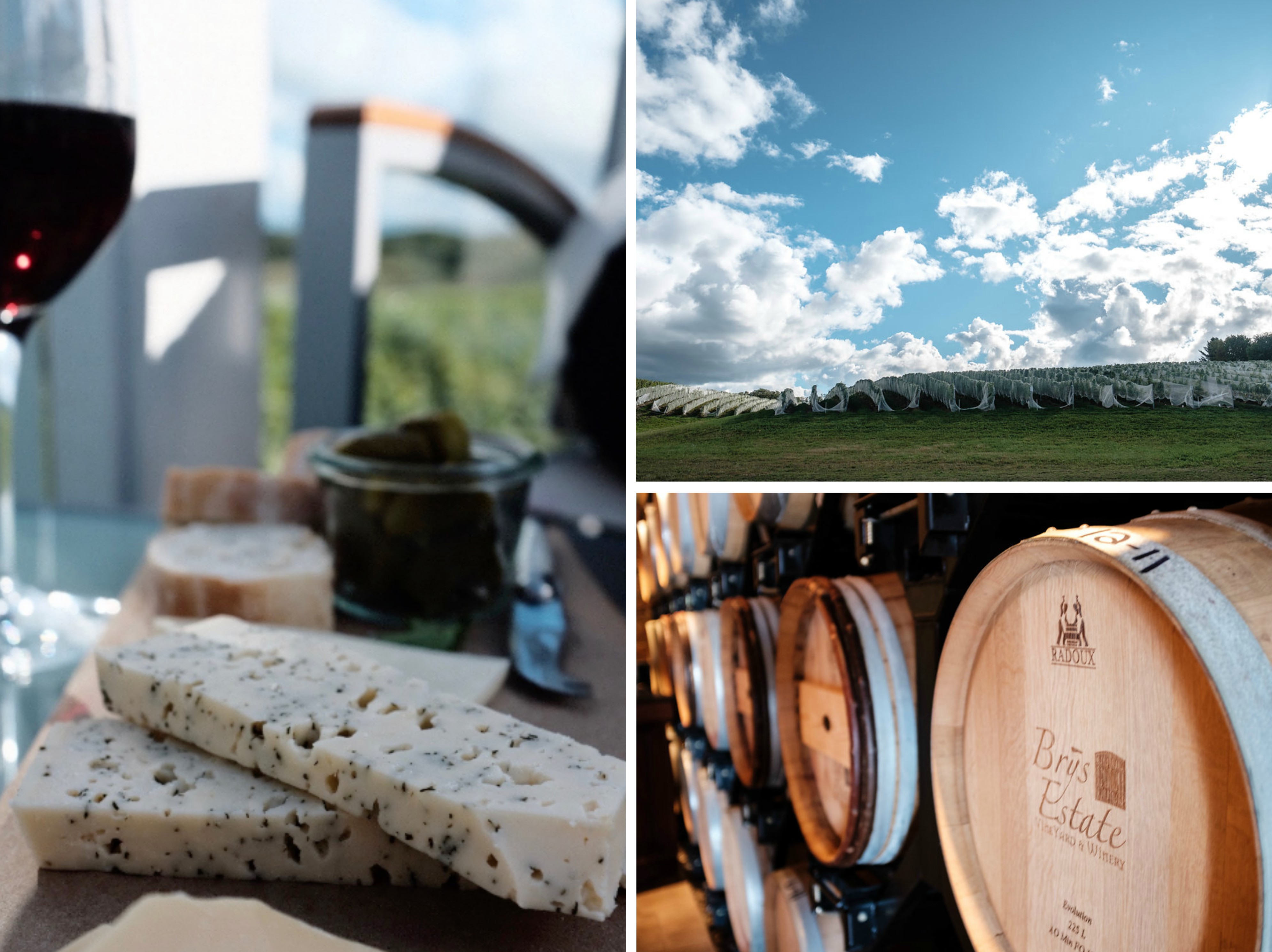 Brys Estate Winery