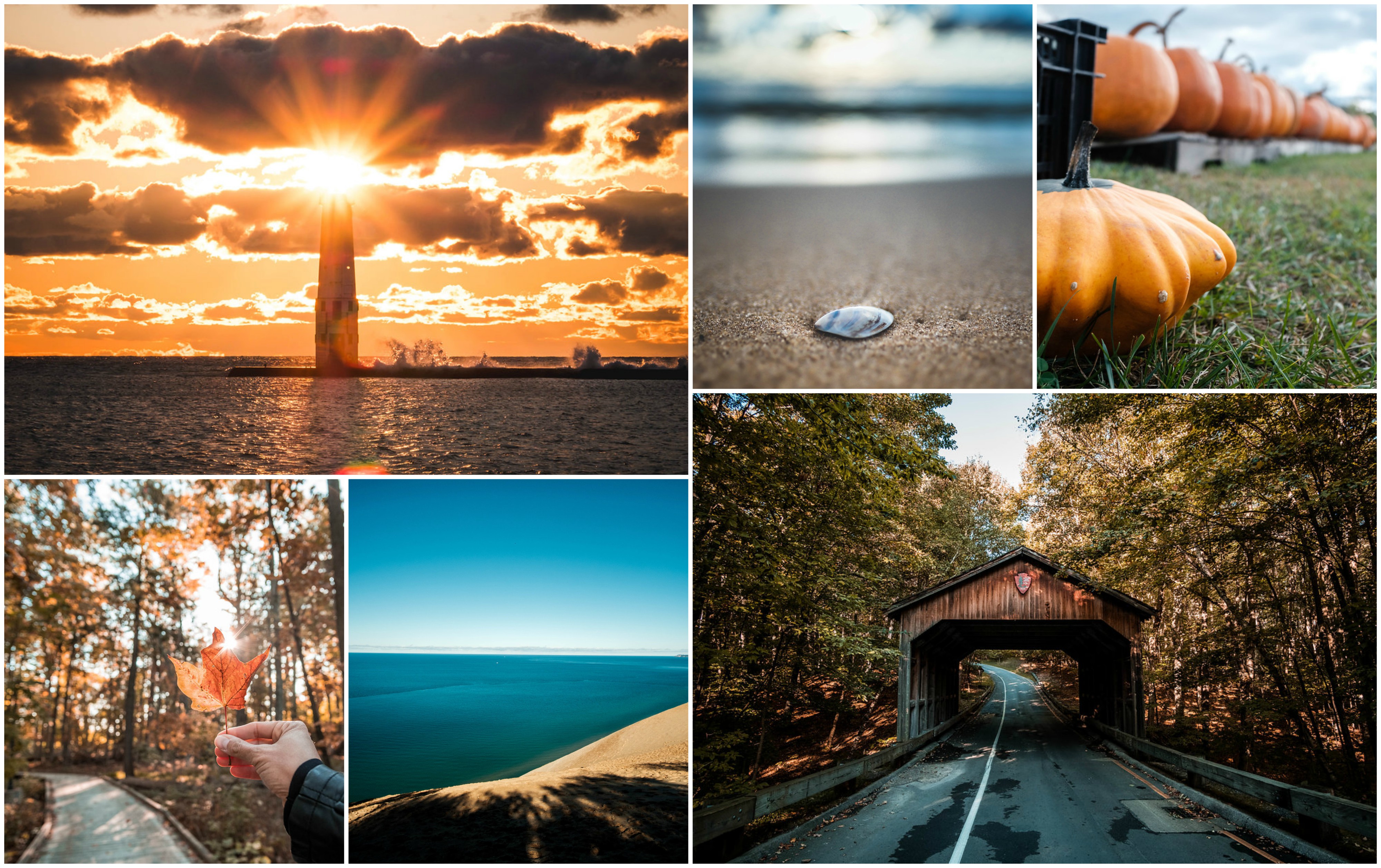Traverse City Area