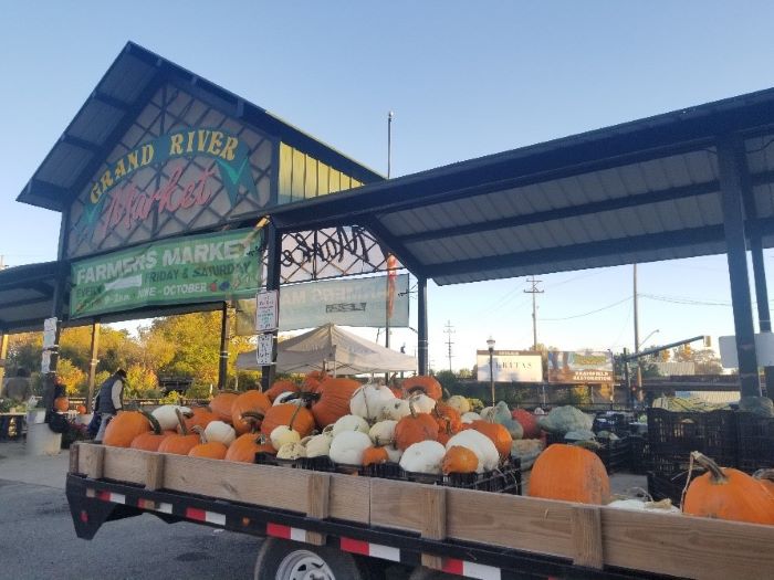 Pumpkins at Grand River Farmers Market