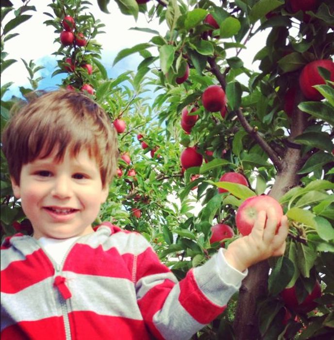First time apple picking