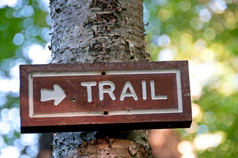 This way to trail