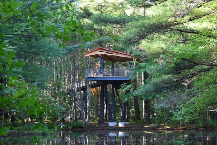 Whiting Forest of Dow Gardens in Midland