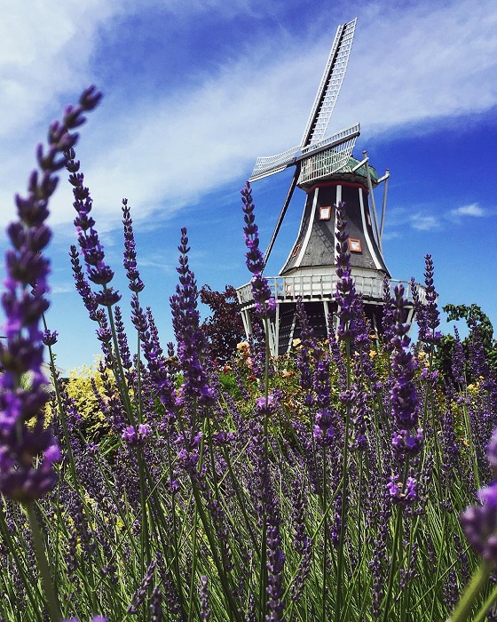 Windmill Island Gardens
