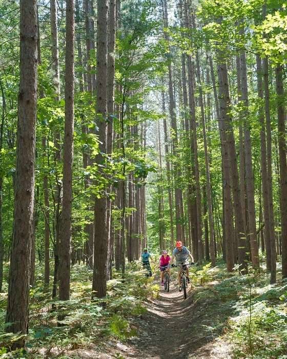 Biking trails in Mansitee