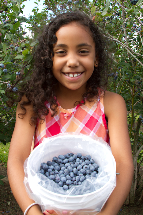 Blueberries from The Nature Conservancy in Holland
