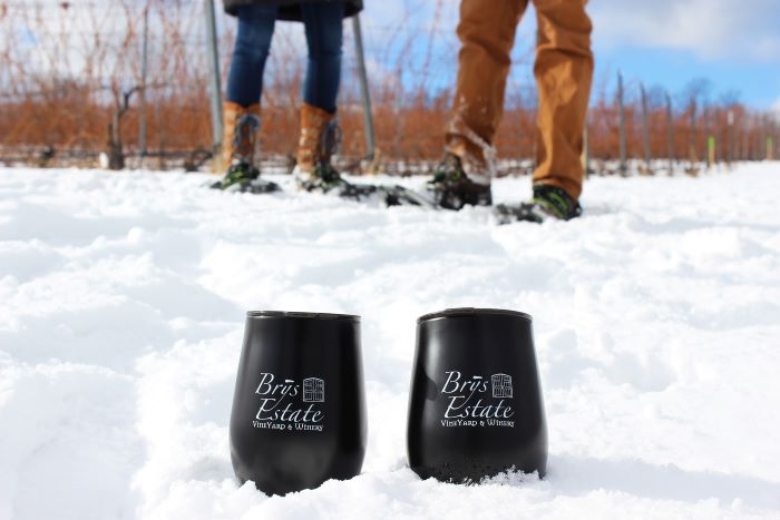 Two wine tumblers in the snow on a vineyard.