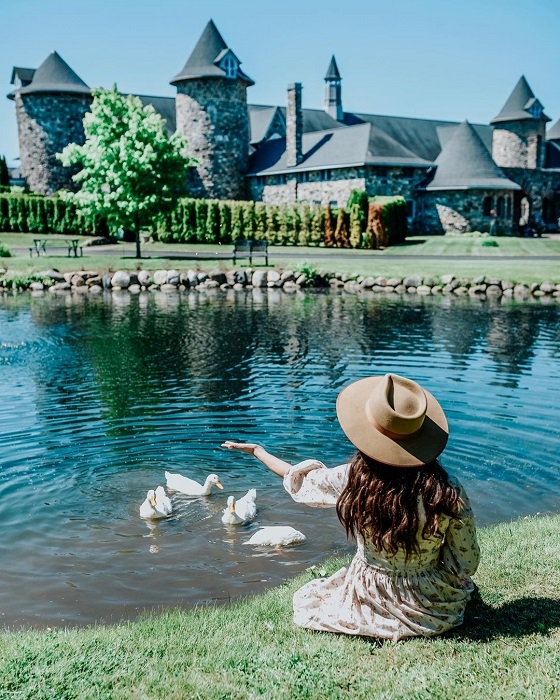 duck pond by castle farms