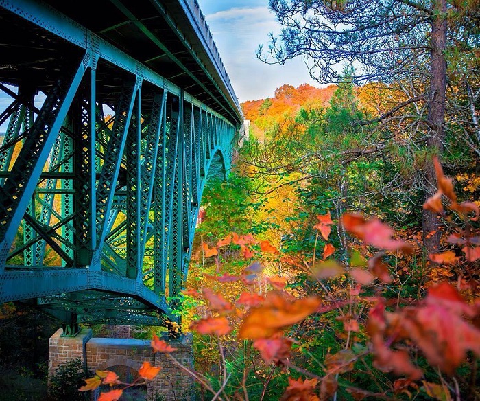 Cut River Bridge in forest during fall