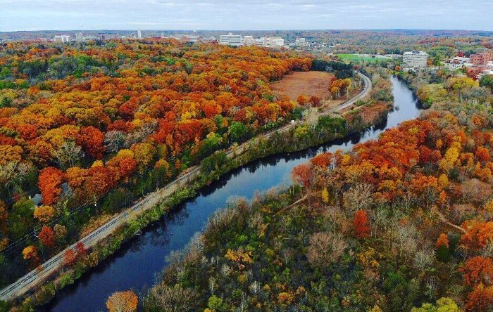 An aerial view of the fall trees in Gallup Park