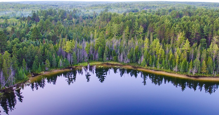 Glory Lake in Hartwick Pines State Park