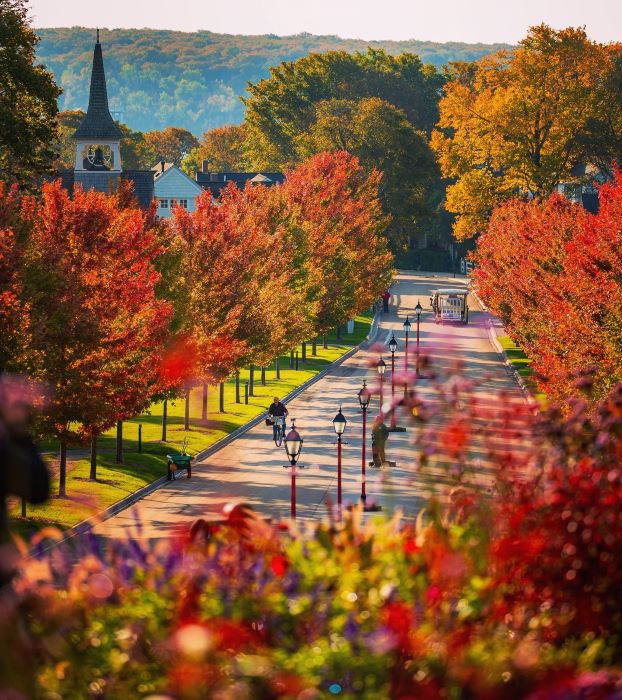 A view from higher ground of Mackinac's downtown streets
