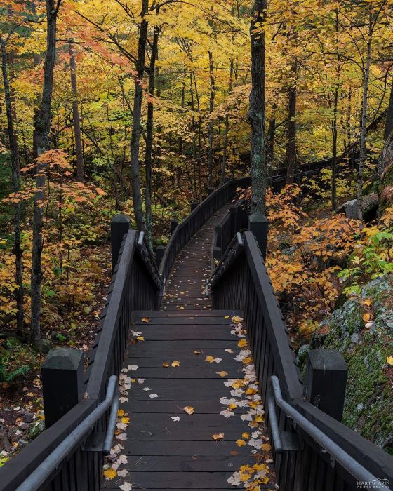 The stairway boardwalk on the Sugarloaf Mountain Trail in Fall