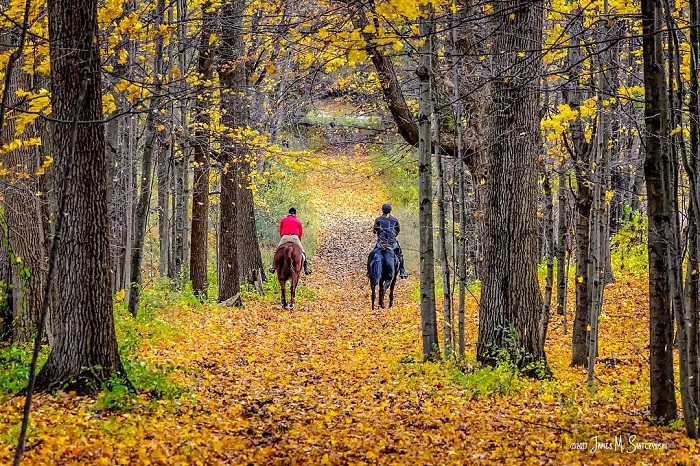 Horse riding Kenningston Metro Park