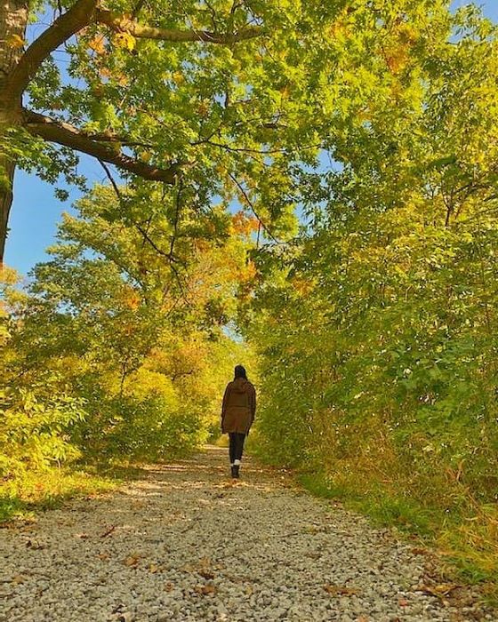 Trail through Belle Isle surrounded by yellow leaves