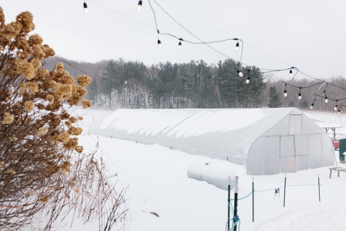 The Enchanted Trail during winter. 