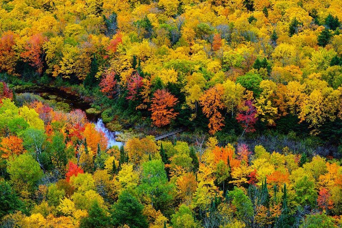 river-porcupine-mountains_0.jpg