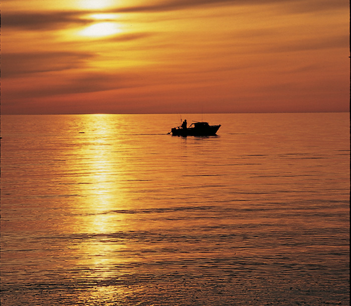 sunset fishing grand traverse bay