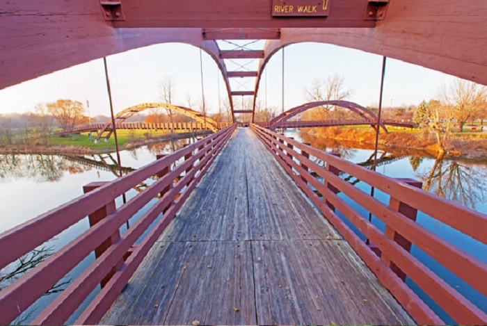 The Tridge