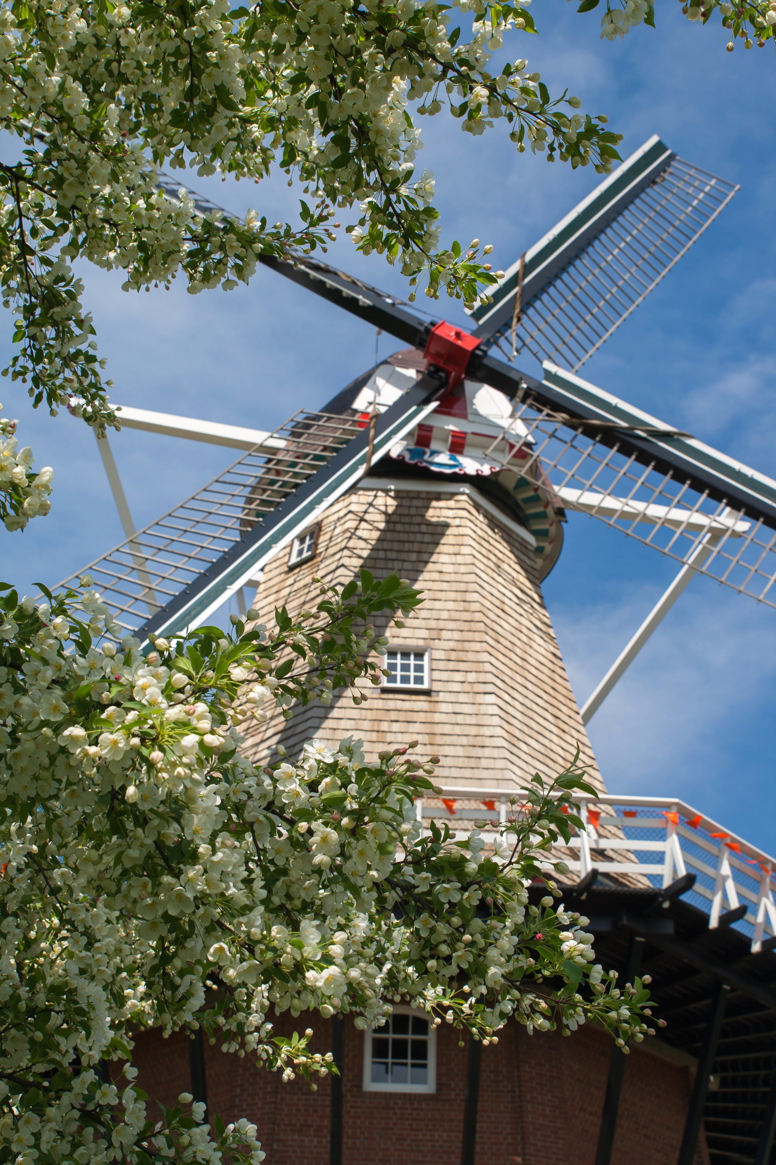 Windmill Island Gardens