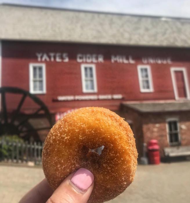 Yates Cider Mill Signature Donut