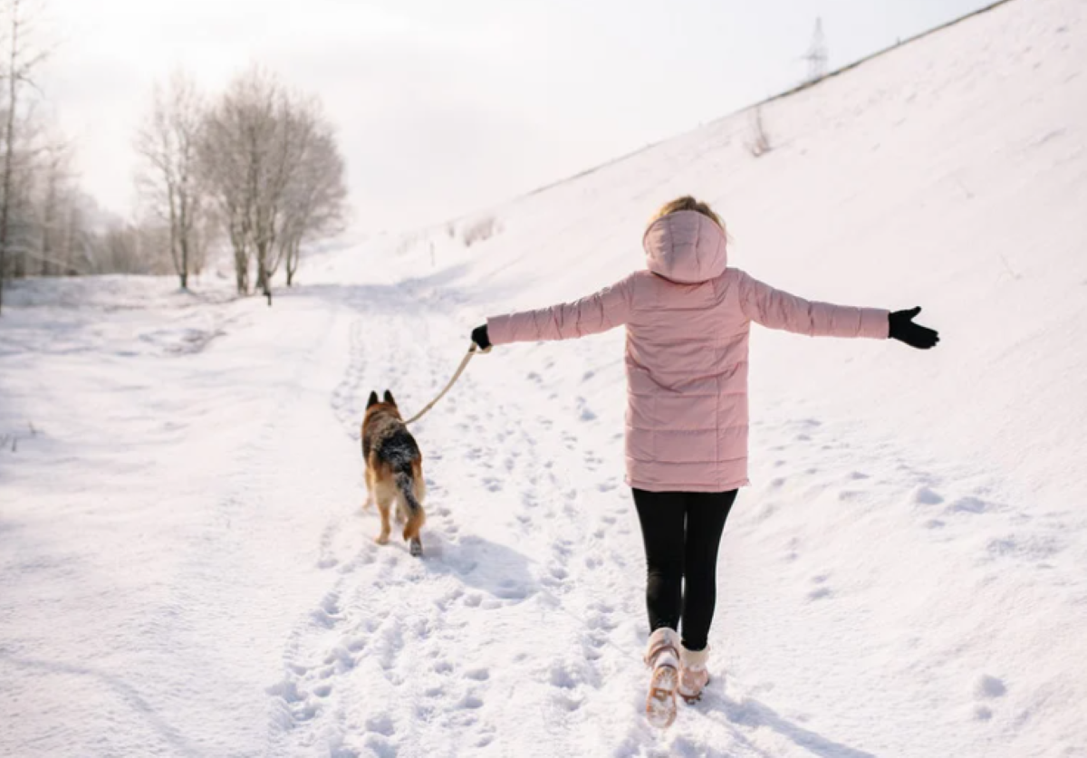 Refund Season Getaway -Save up to 25% off Photo 2