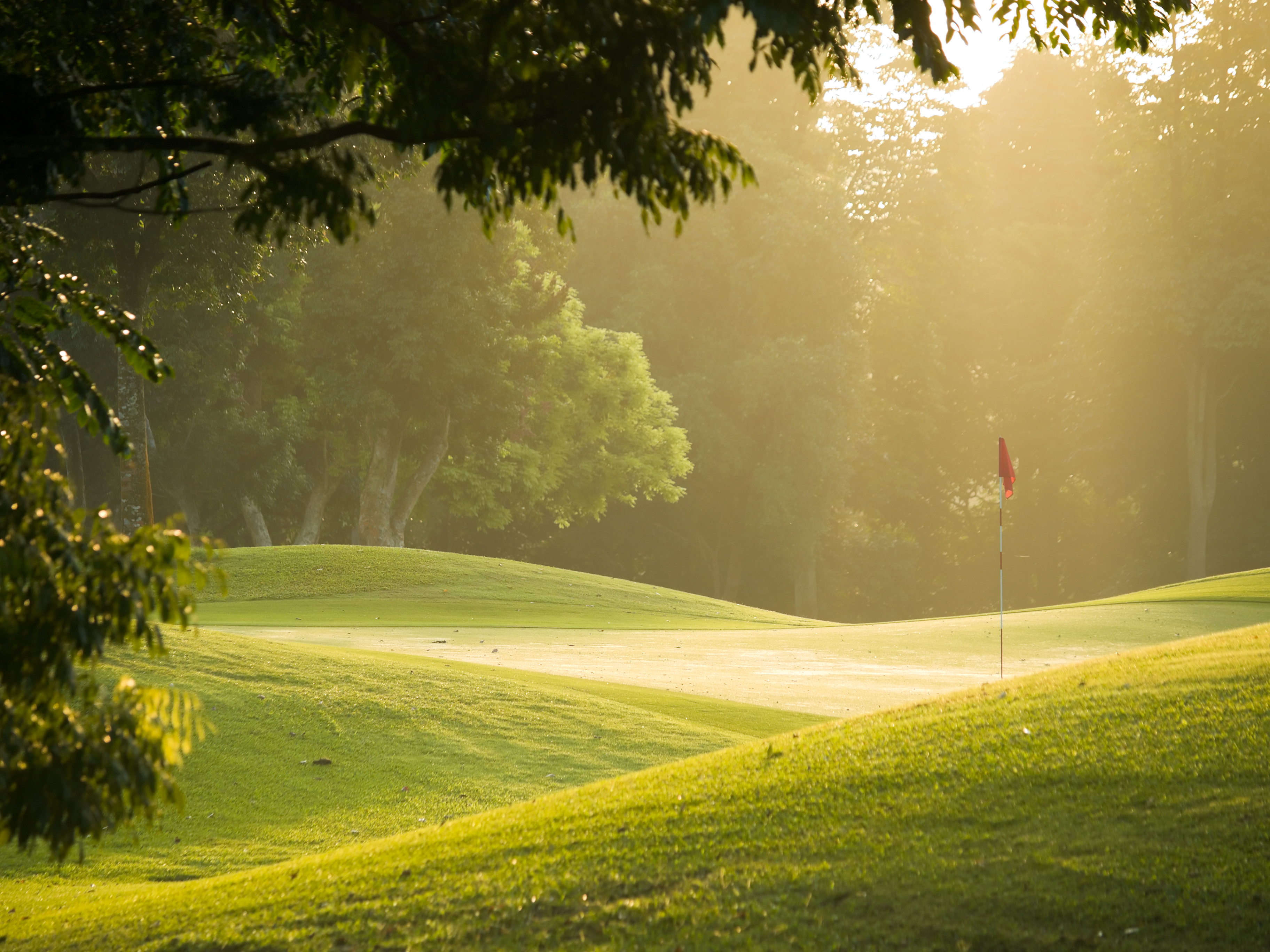 Golf Course in the morning mist Photo 2